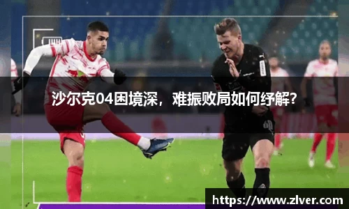 bsports官网入口