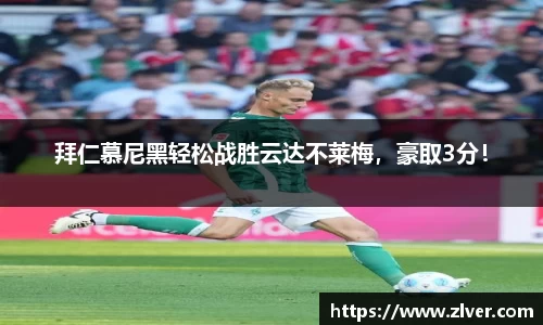 bsports官网登录入口