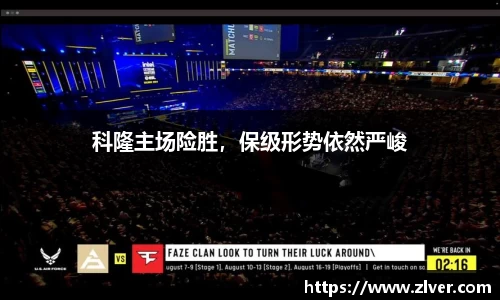 bsports官网入口