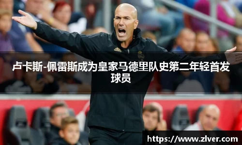 bsports登录入口