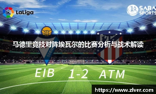 bsports官网入口